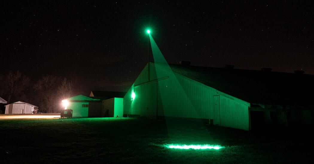 Fight to Fend off Avian Flu with Lasers, Inflatable Dancers, and more