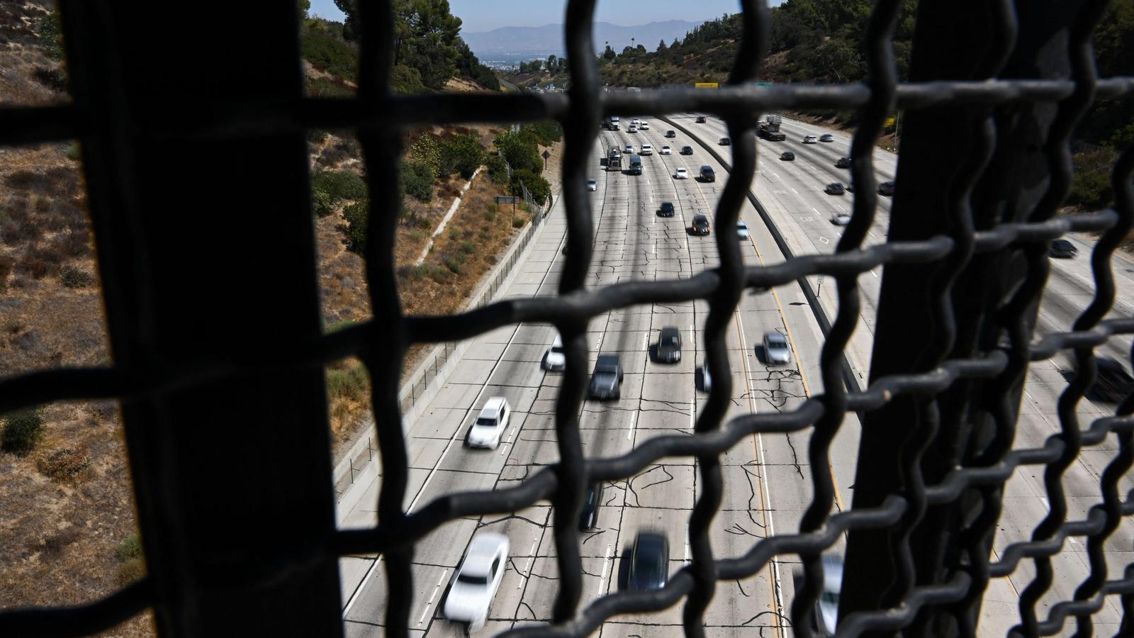 Cops believe the mom left the kids for dead on the freeway