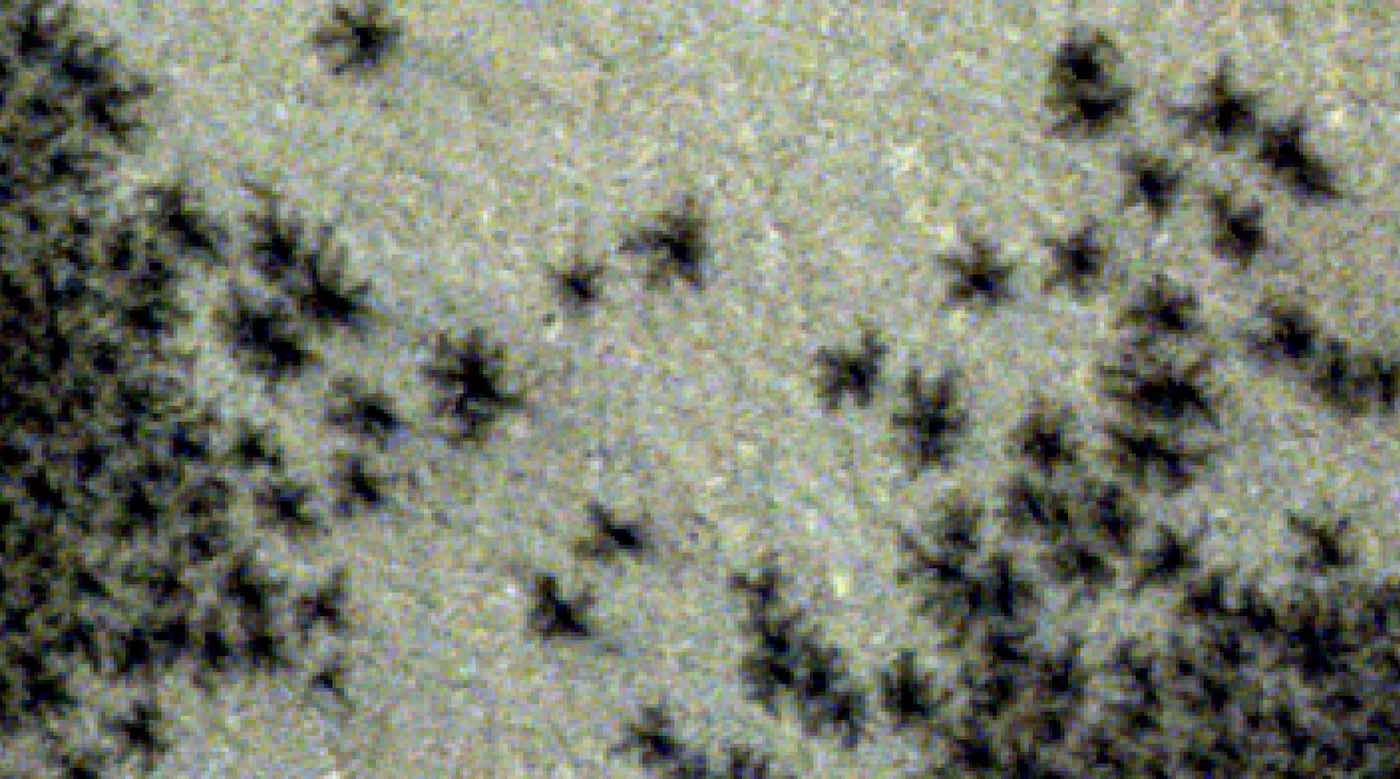 Spiders-phenomenon-near-Mars-south-pole-by-CaSSIS-instrument-aboard-ExoMars-Trace-Gas-Orbiter-–-ESA-SWNS.jpg