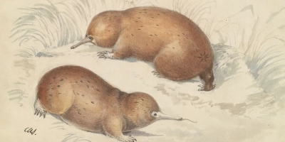 The existence of extinct species that lived 200 million years ago has been confirmed by scientists